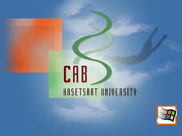 A céges számítógépek felén még mindig Windows 2000 fut