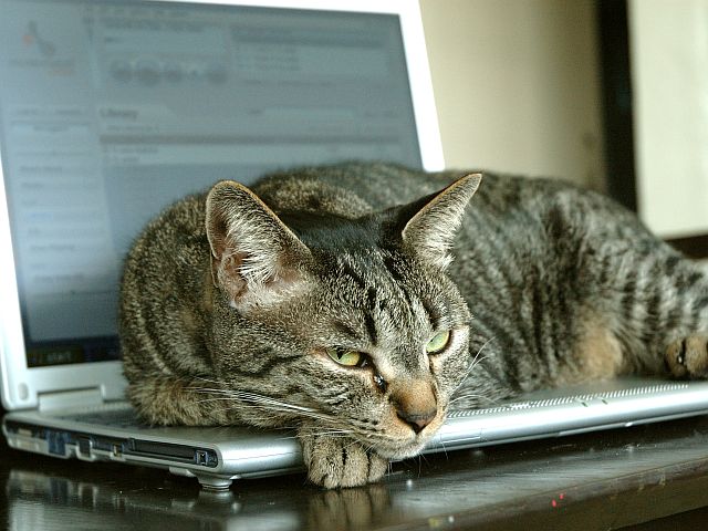 'Öt órás' noteszgépek új Intel mobilprocesszorokkal