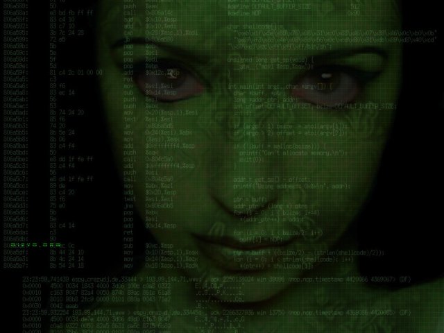 Holland szerzői jogvédők az illegális fájlcserélők ellen