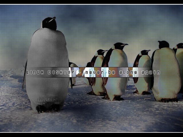 Nyomuló Linux, élesedő verseny