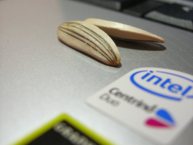 Az Intel bejelentette a mobil Santa Rosa platformot