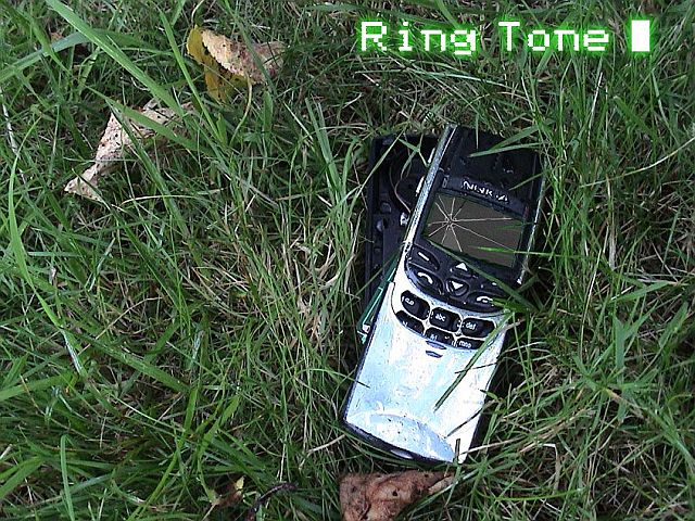 Zenei album kizárólag csengőhangként