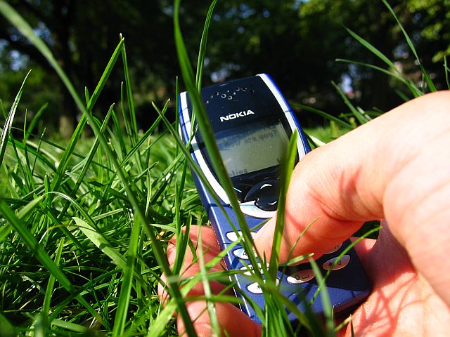 Önmegsemmisítő SMS