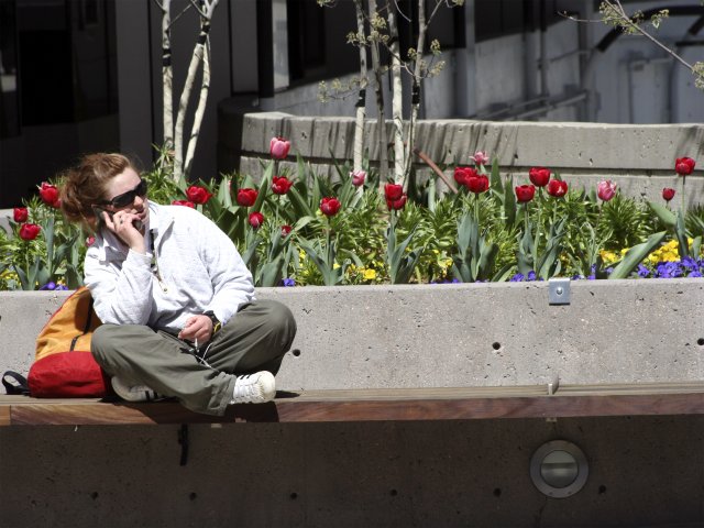 Sikoltozó telefon a zsebesek ellen
