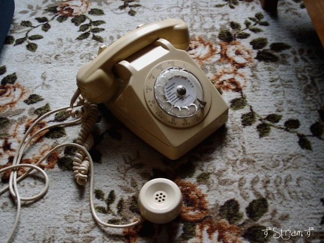 Az amerikai háztartások közel 8%-ában VoIP telefont használnak