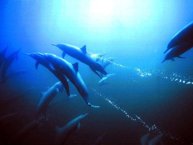 Kék mélység filmkritika