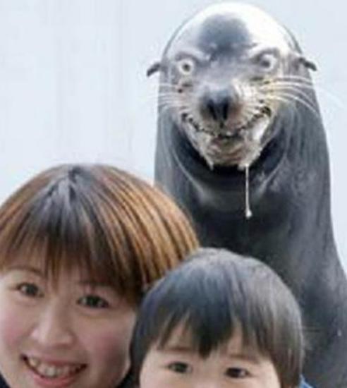 2010 – még két év van hátra