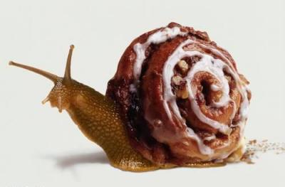 A kakaóscsiga titka