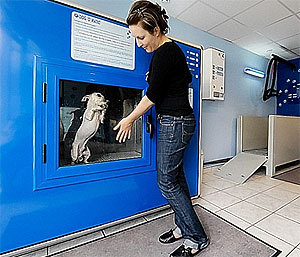 Az automaták világa