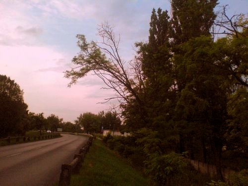 Bizar sztorik (reload)