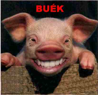 BUÉK!
