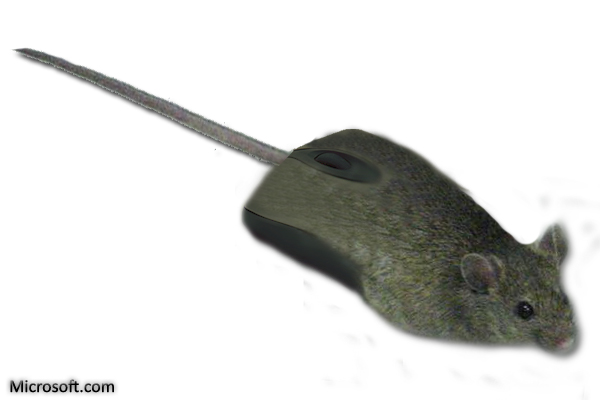 Egy kis hülyeség egyenlőre