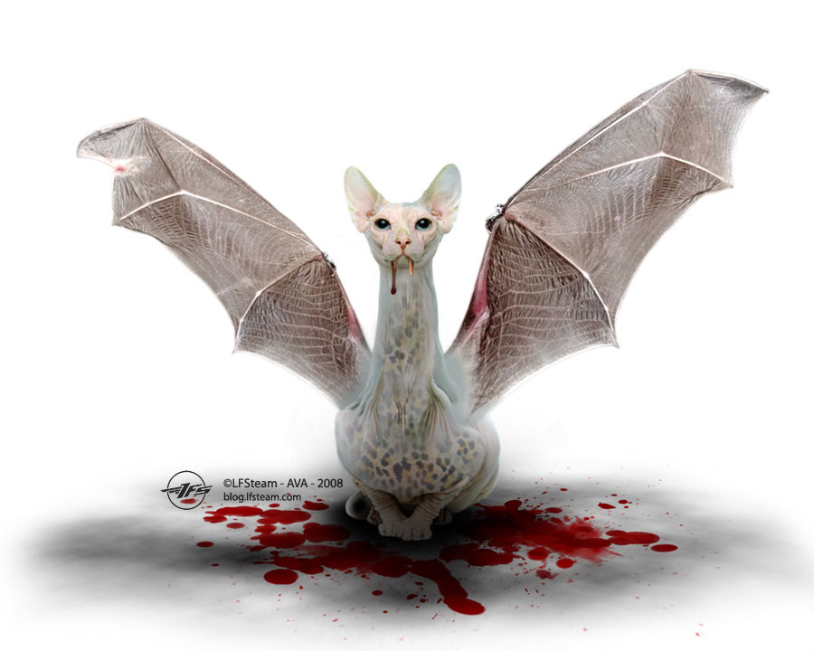 Előző életemben denevér voltam…