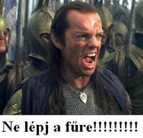 Ez annyira gyér, hogy ez már nem gyér…