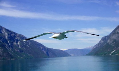 Furcsa történetek – Kedves naplóm 2