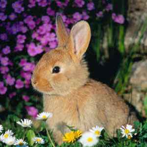 Húsvéti szösszenet