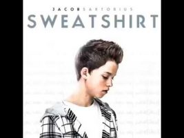 Jacob Sartorius – Sweatshirt (dal és klippelemzés)
