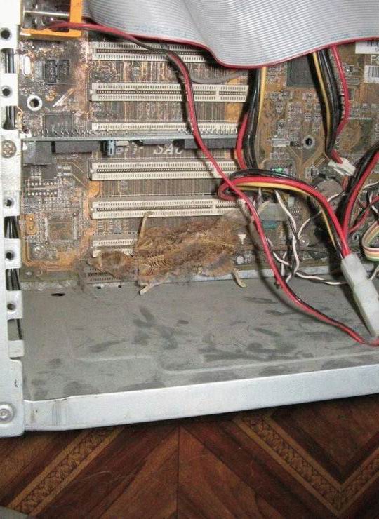 Kis levegővétel…