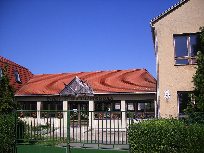 Mindenki a sulikezdésről blogol – én is