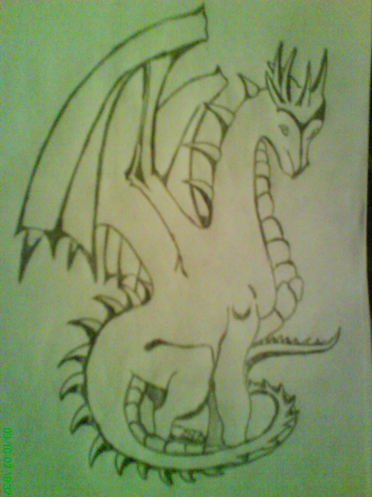 Skyman & Shade képek