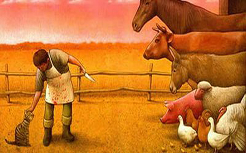 Szép új világ (+18)