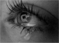 Szó nélkül, könny nélkül…