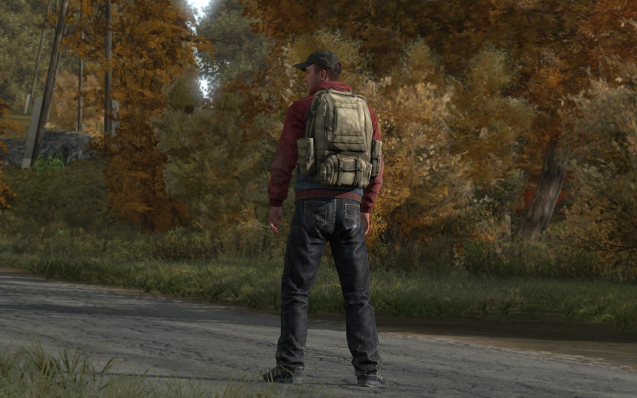 Vélemény:Dayz Standalone