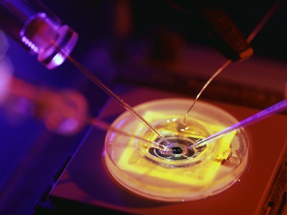 100 GB-os memóriacsipet fejleszt egy amerikai cég