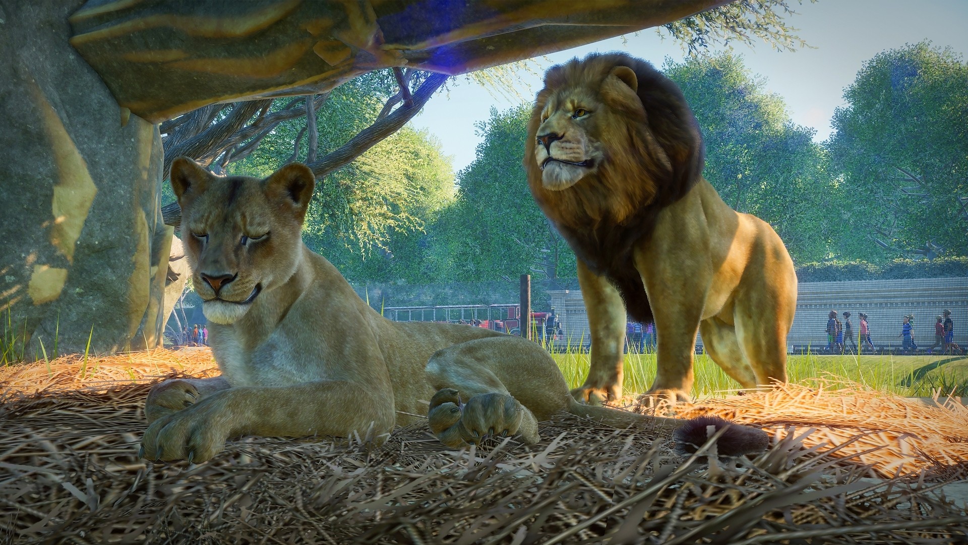A gamescom 2019 alkalmából ismét megmutatta magát a Planet Zoo című Zoo Tycoon-klón