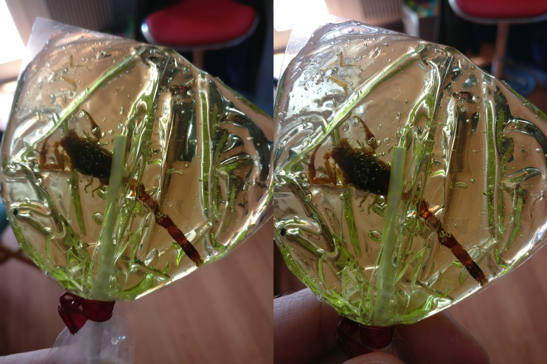 A Microsoft szó szerint skorpióval szopatja a játék-újságírókat!