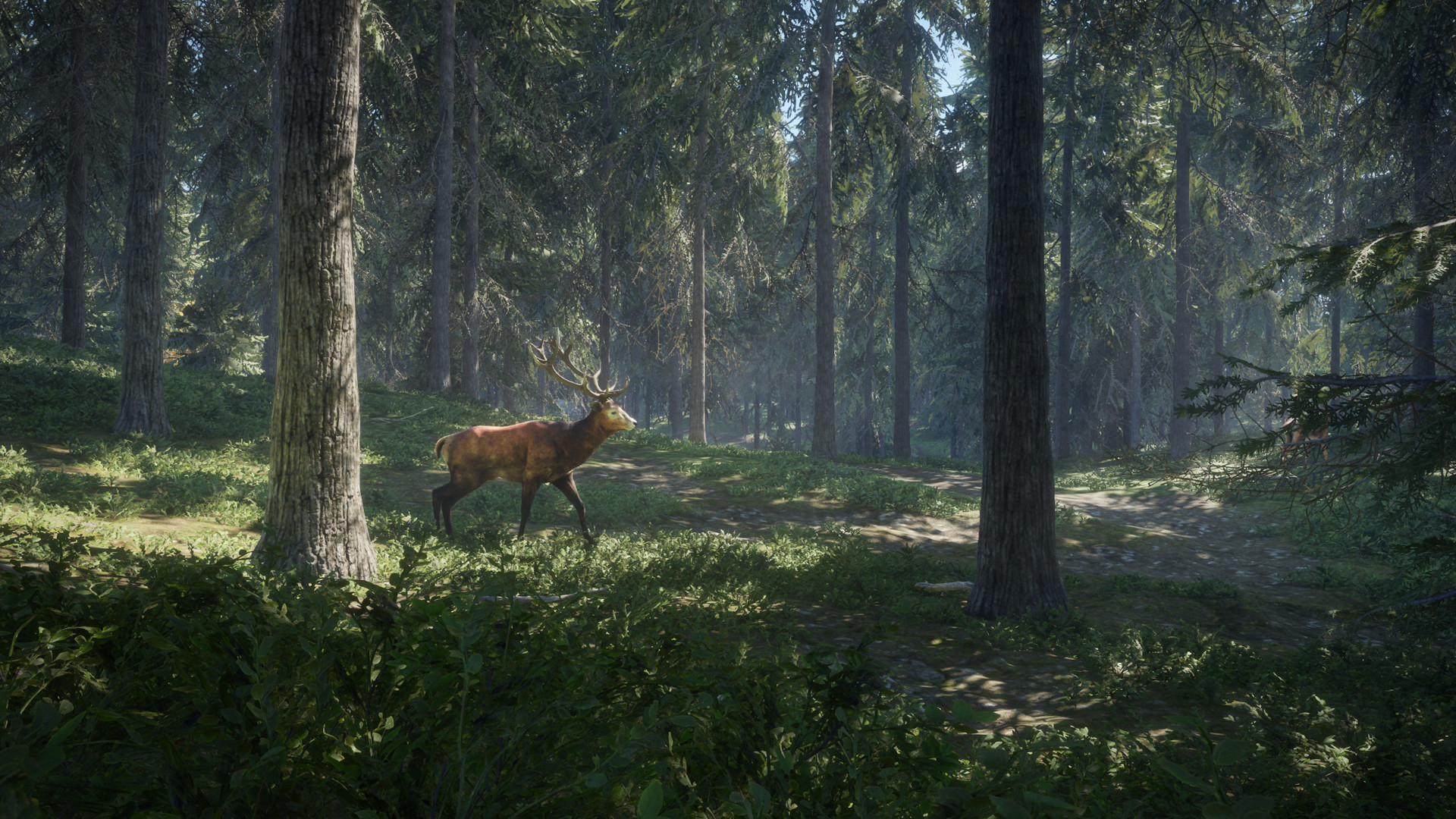 A theHunter: Call of the Wild az Epic Games Store aktuális ingyen letölthető játéka