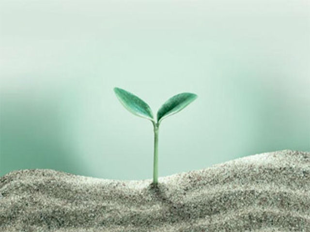 A Fujitsu is szerepel a Gartner és a WWF legfenntarthatóbb ICT-szállítókat azonosító független jelentésében