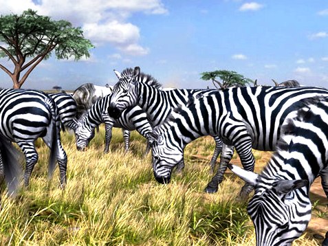 Afrika: A kegyelem döfés