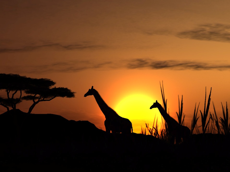 Afrika: Nincsenek értékelhető fejlemények, állítja a SCEE