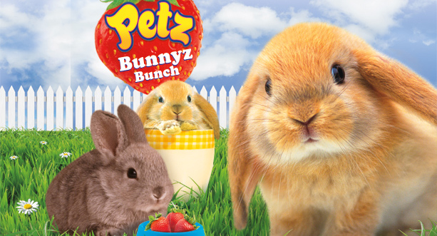 Bejelentve a Petz Bunnyz Bunch