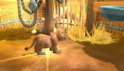 Bejelentve a Wildlife Camp, várnak ránk a szavannák és Afrika