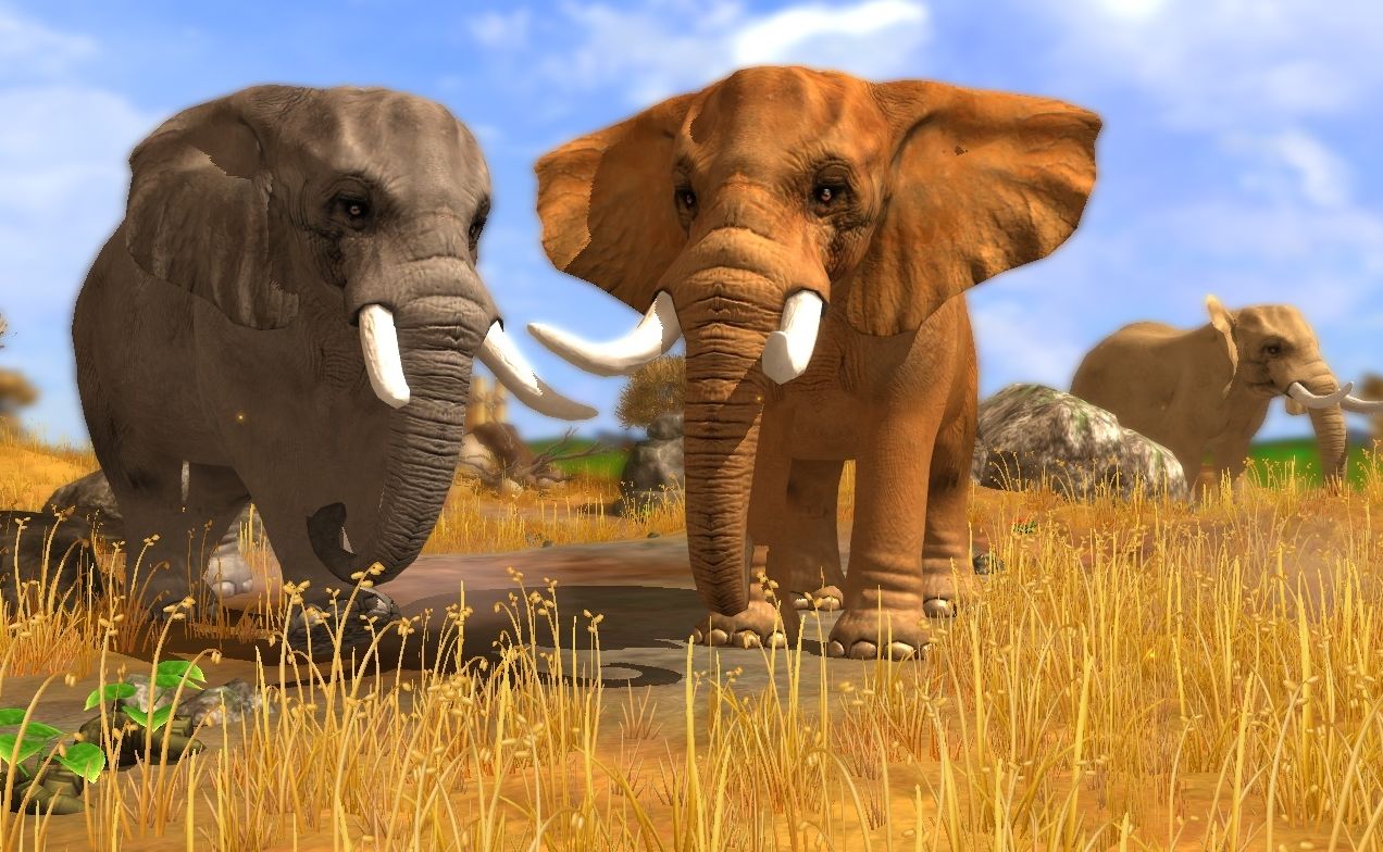 Bejelentve Wildlife Park 3