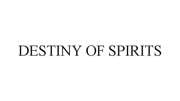 Destiny of Spirits: A Sony új játékcíme
