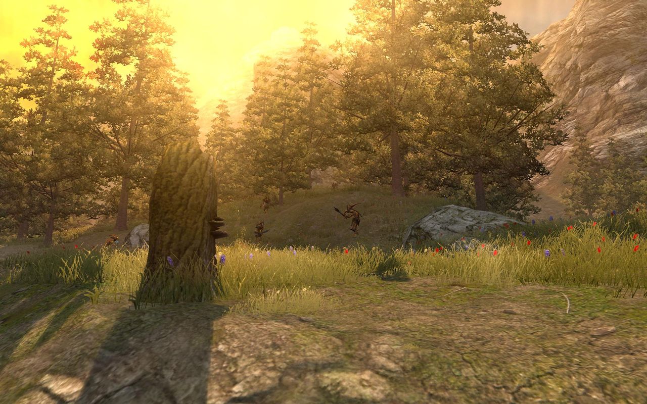 Divinity II: Ego Draconis: Bemutatkozik Rivellon földje