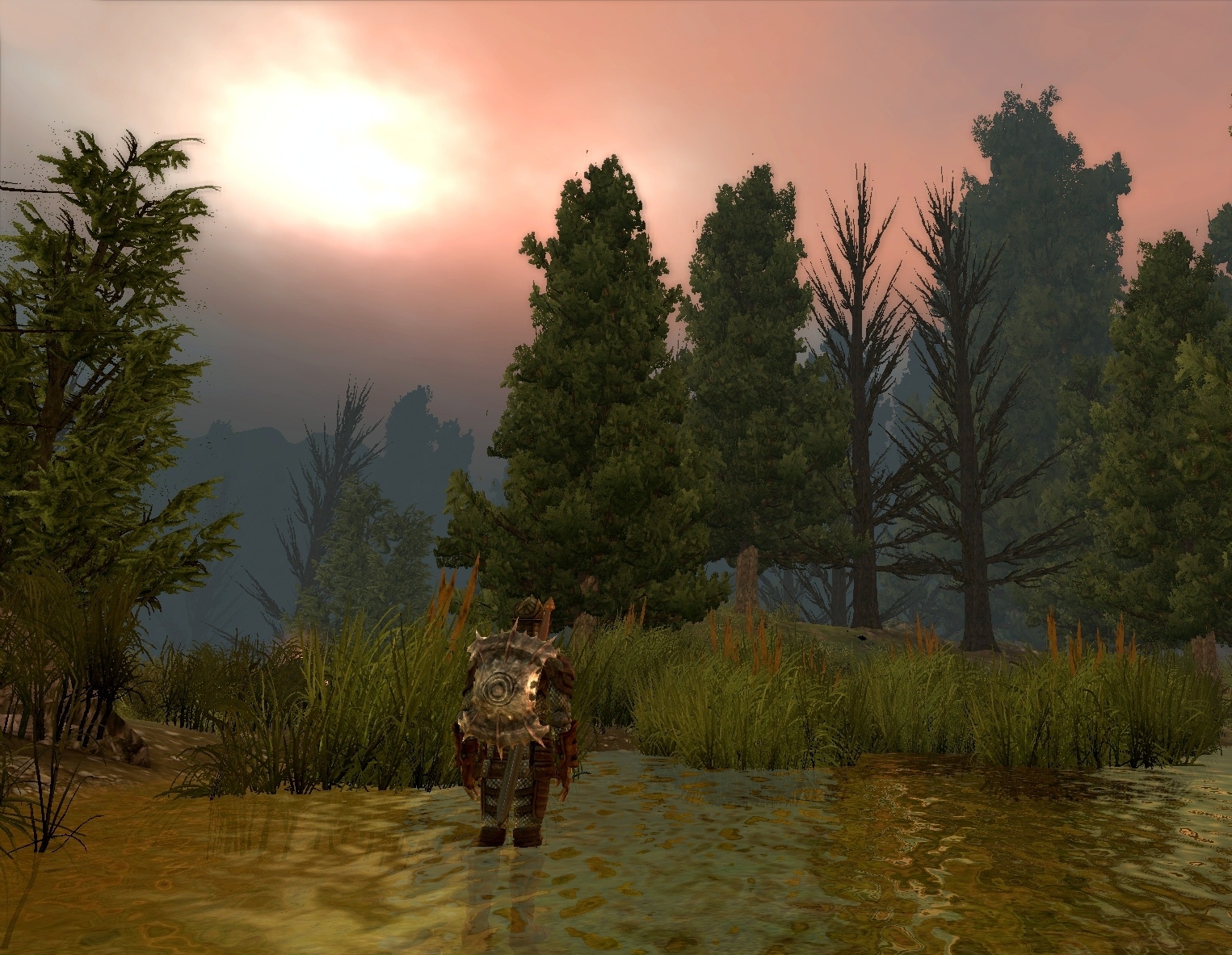 Dragon Age: Origins: Háború az élet színpadán