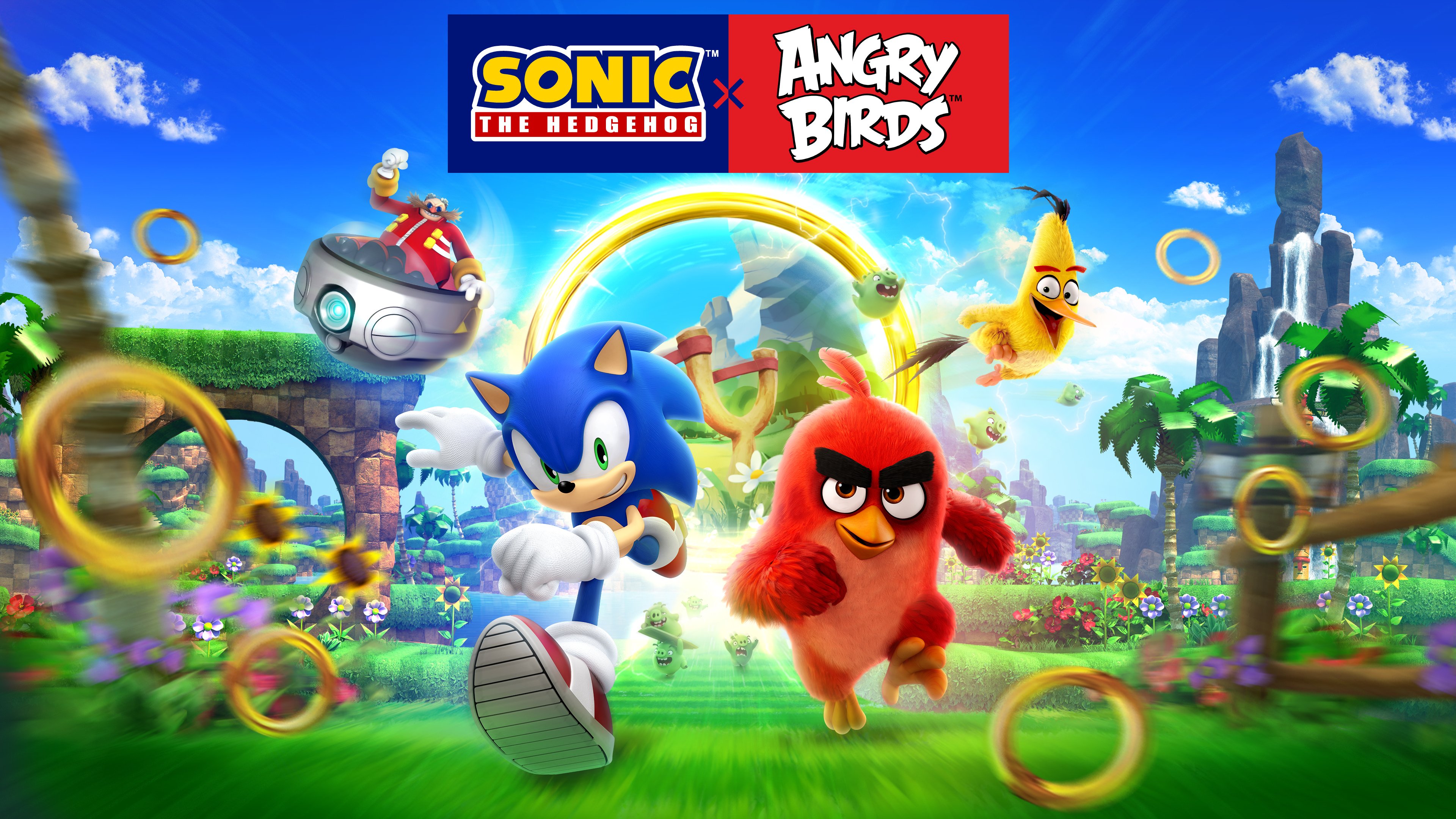 Egy izgalmas Sonic the Hedgehog x Angry Birds összefogás bukkant fel a horizonton