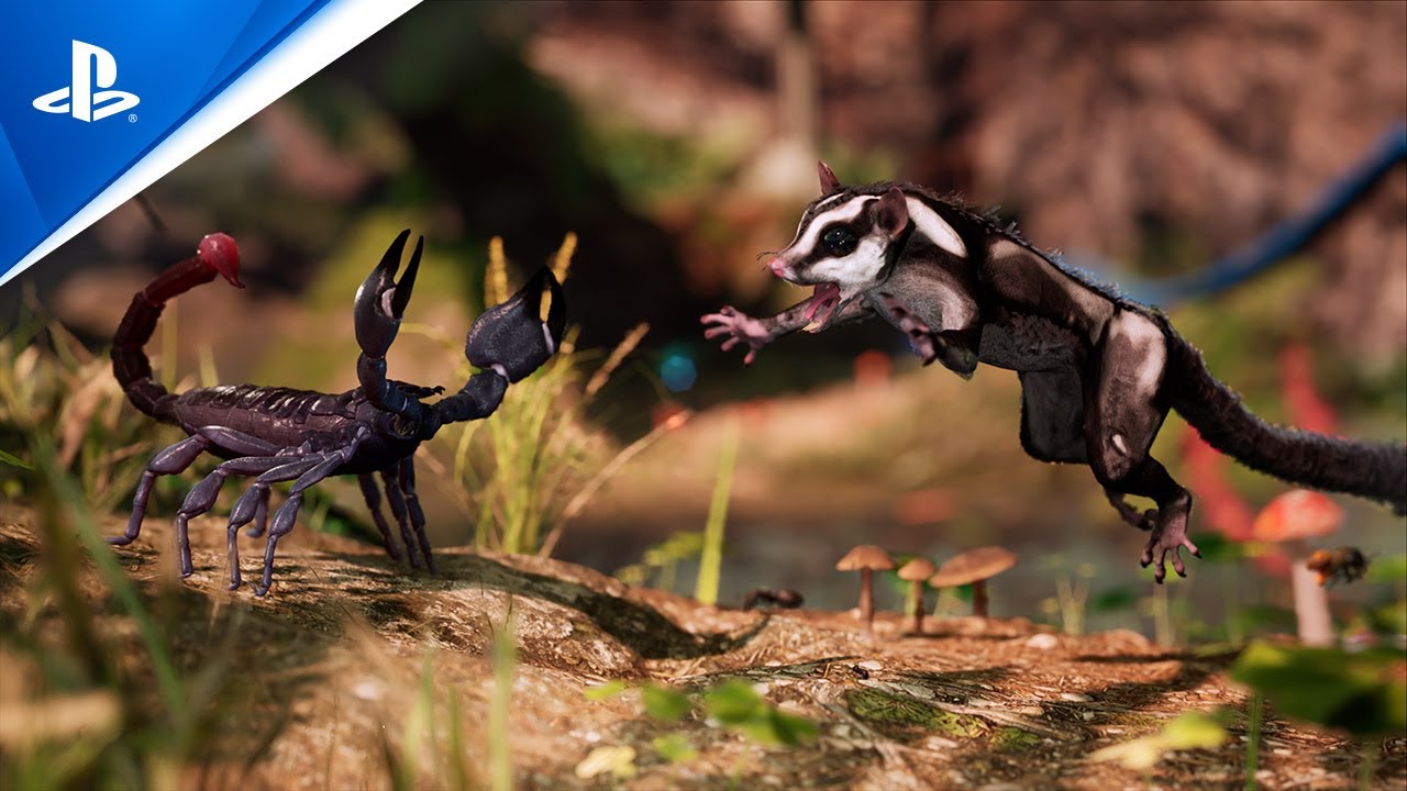 Egy törpe erszényes mókus nehézségeit ismerhetjük meg az Away: The Survival Series legújabb videóján