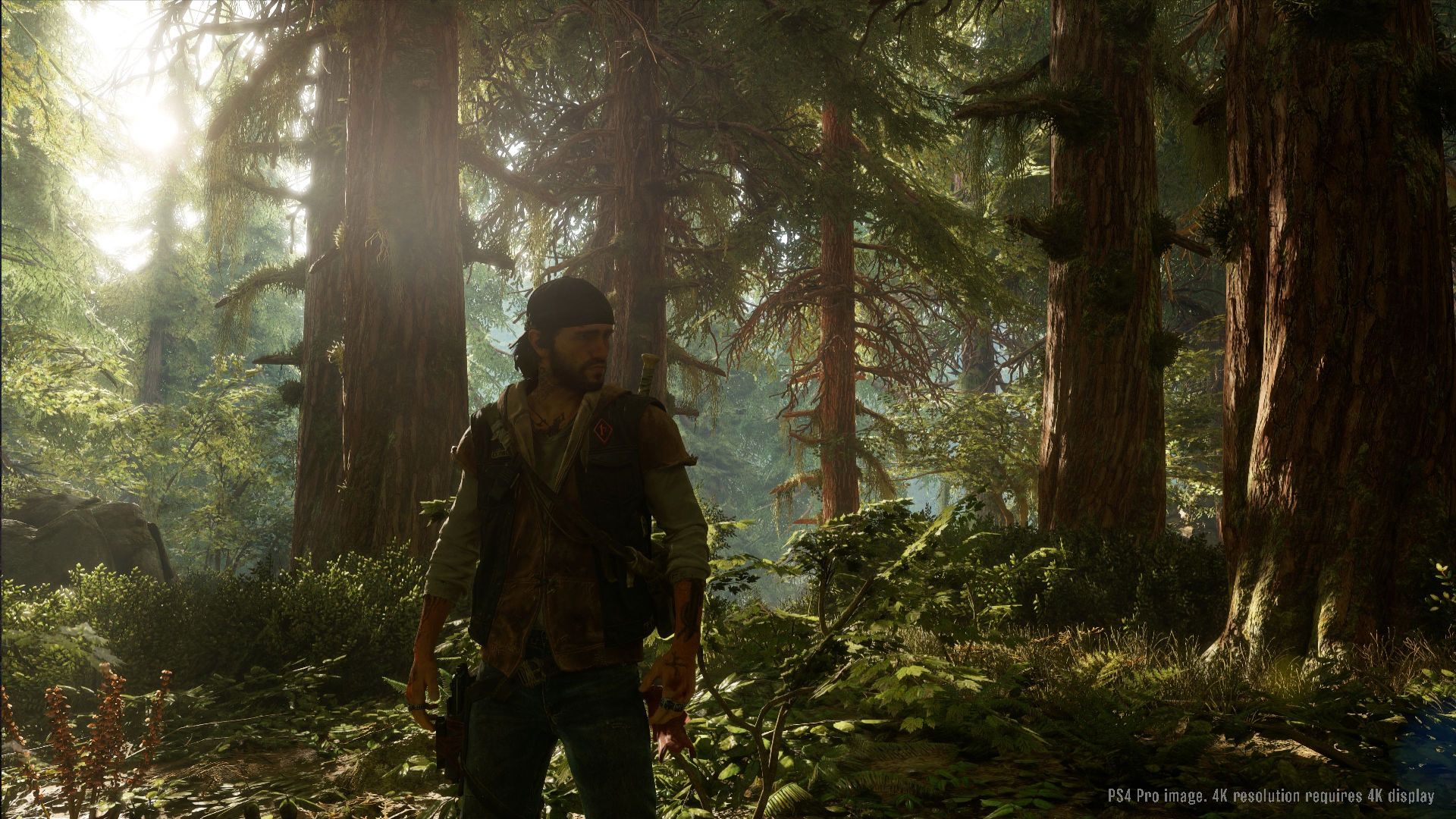 Érdemes lesz kitakarítani a PS4-et a Days Gone telepítése előtt