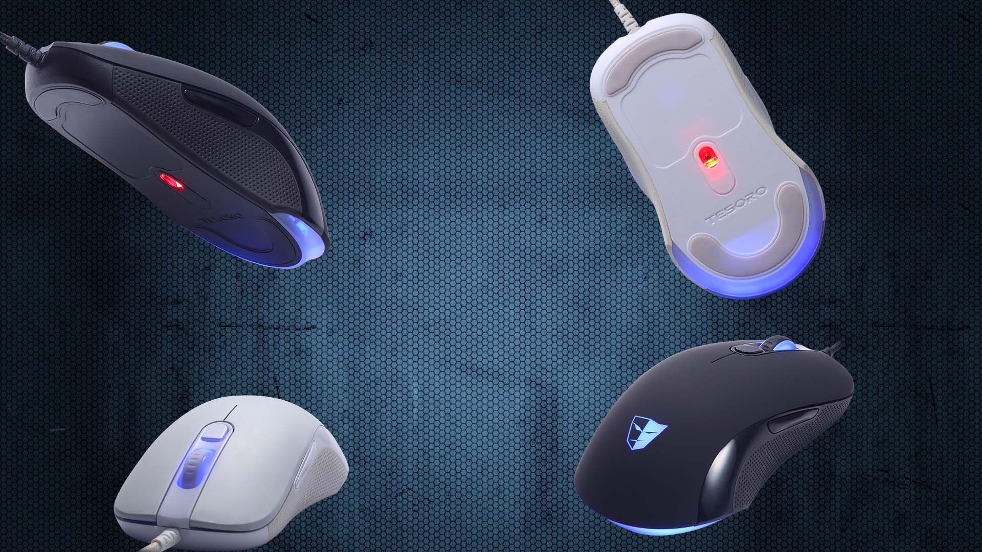 Fehér rágcsálóval erősít a Tesoro