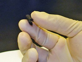 Hajlékony papír akkumulátor