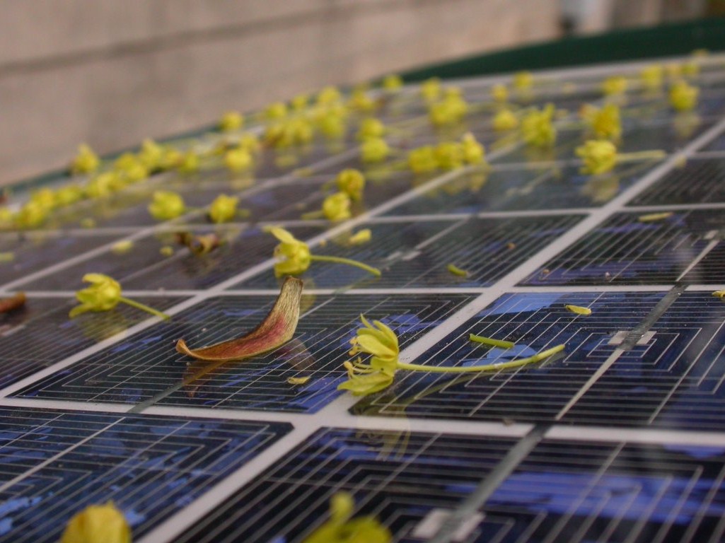 Hajlítható, olcsó napelemek