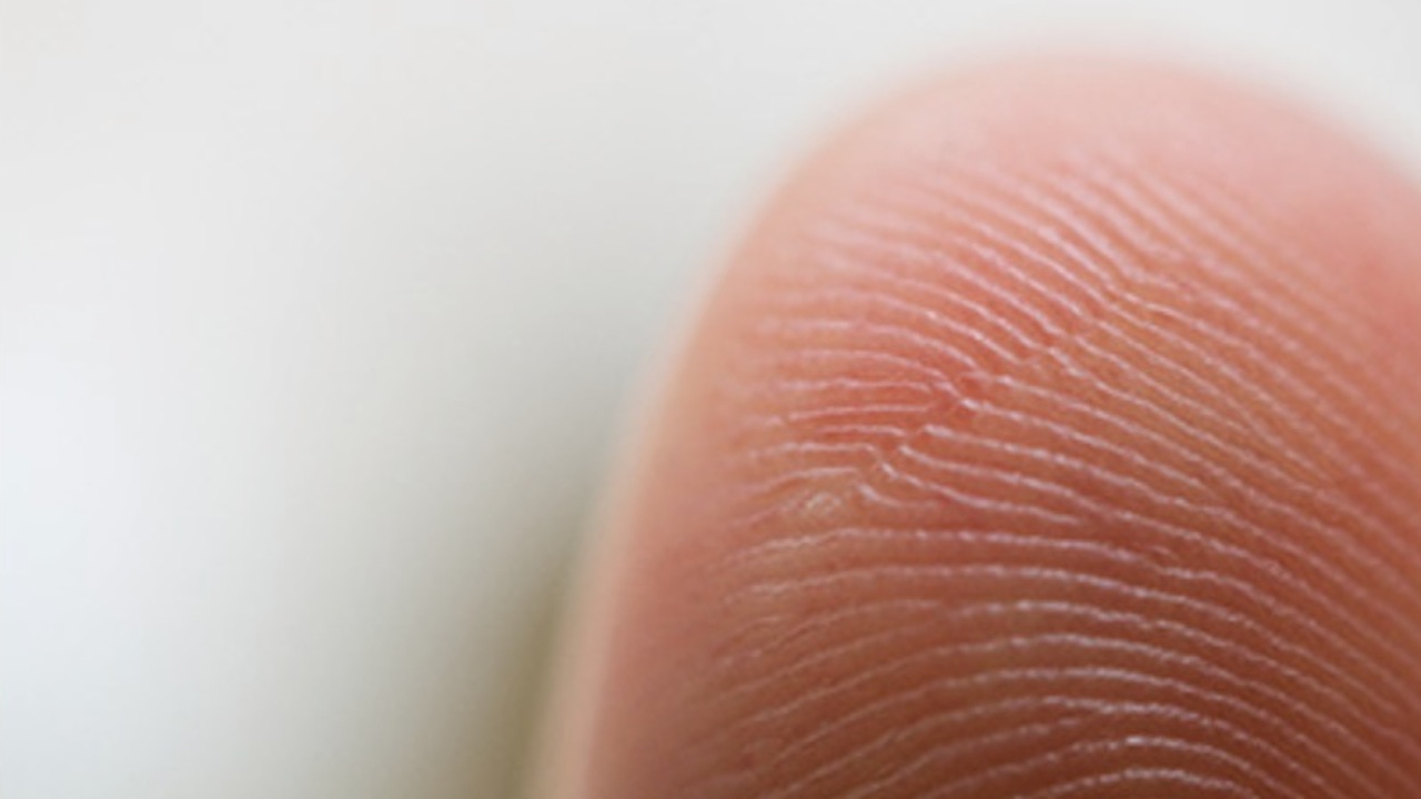 Hamarosan már az okostelefonok kijelzőibe lesznek integrálva az ujjlenyomat olvasók