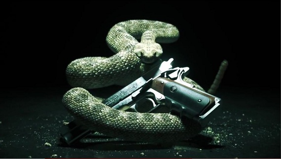 Hitman: Absolution – Zászlaja alatt az Avatar-os stúdió