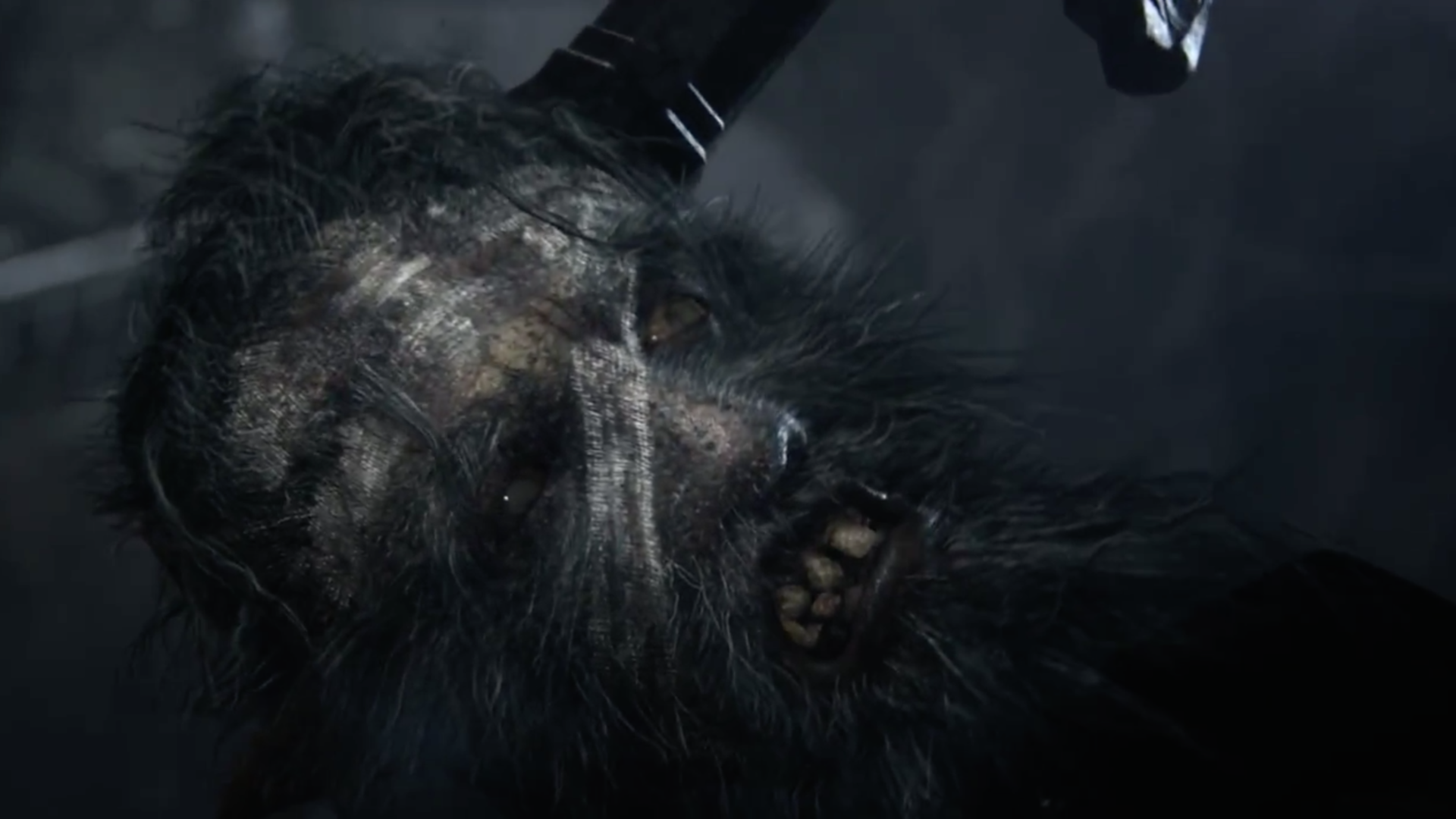 Ingyenes cím lesz a Let It Die