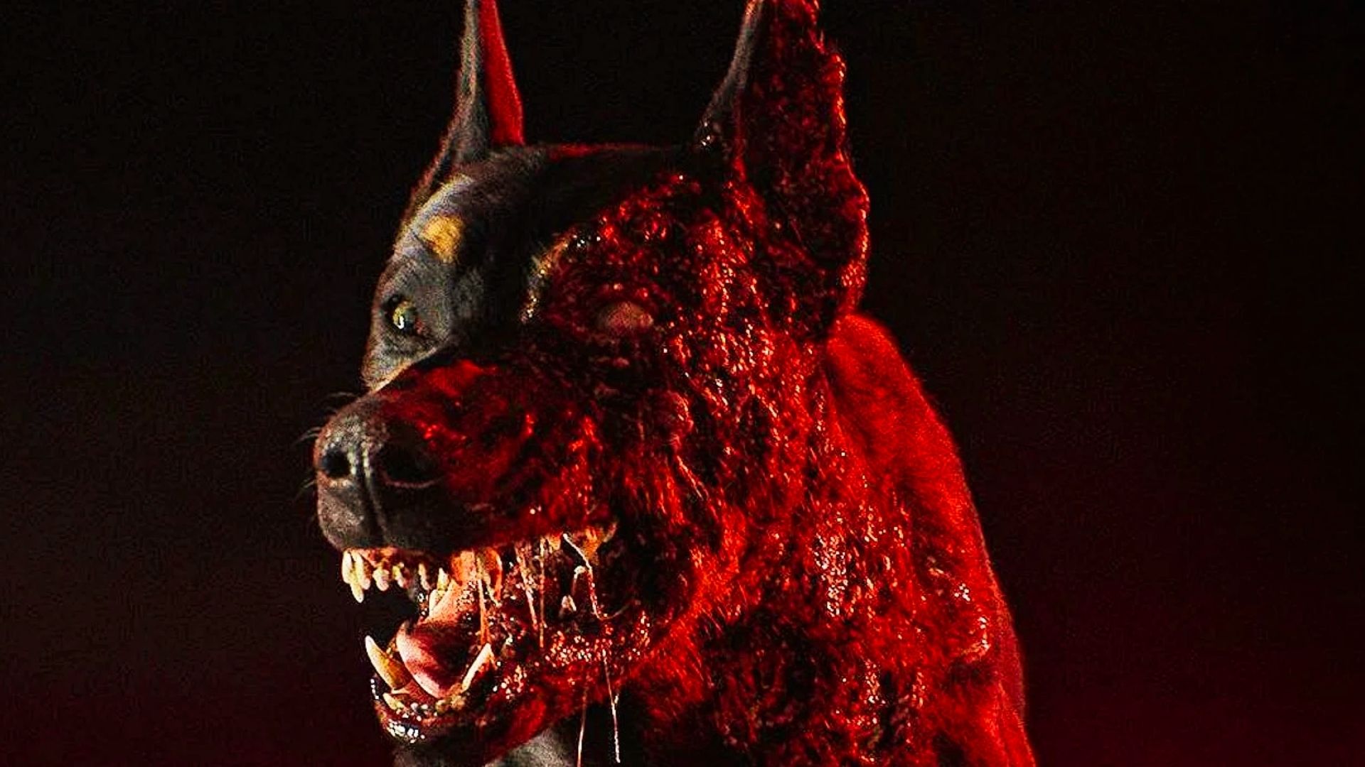 Itt az első teaser a Netflixre készülő élőszereplős Resident Evil sorozatból